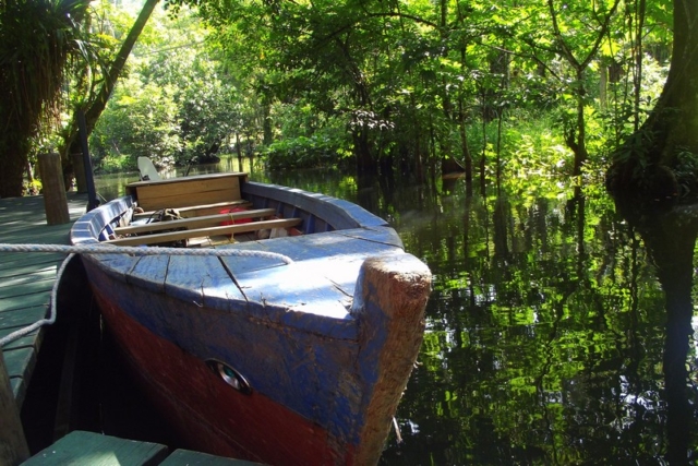 A docked row boat in the jungles of Guatemala