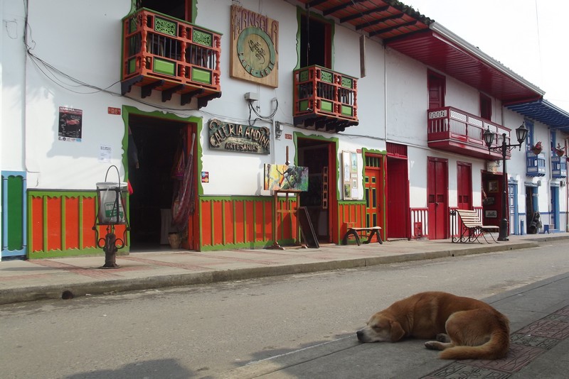 A snoozing pooch in the shade of Salento streets, Colombia