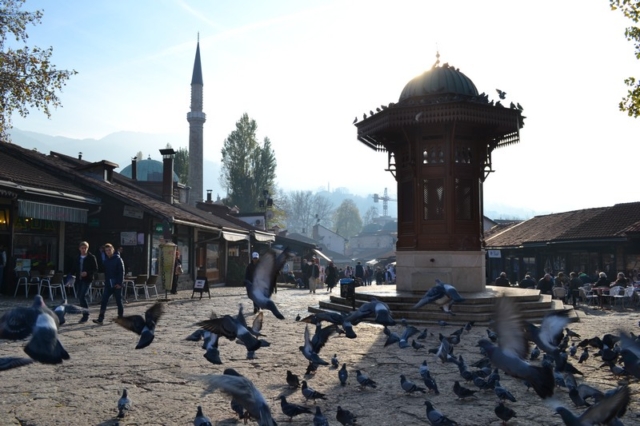 Pigeons take off near the Baščaršija, Sarajevo
