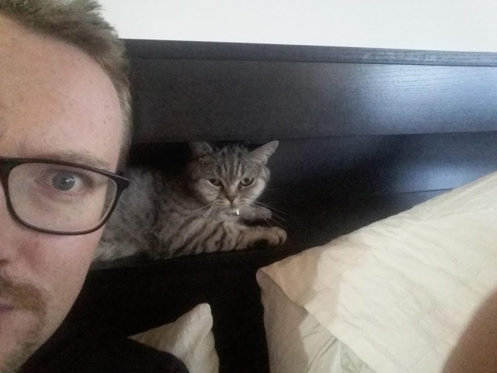Stu with a cat behind his head in a bed